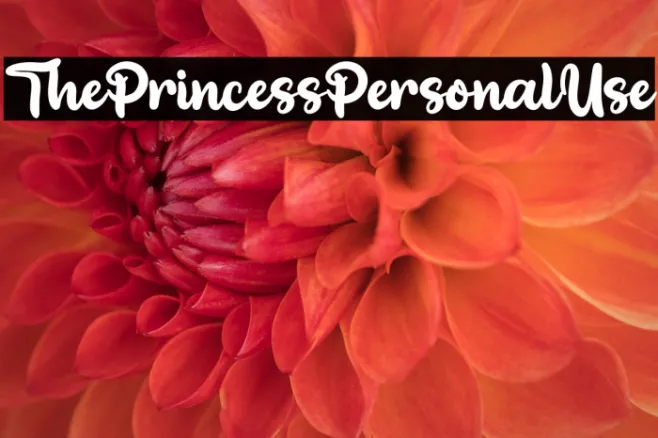 ThePrincessPersonalUse Example 1