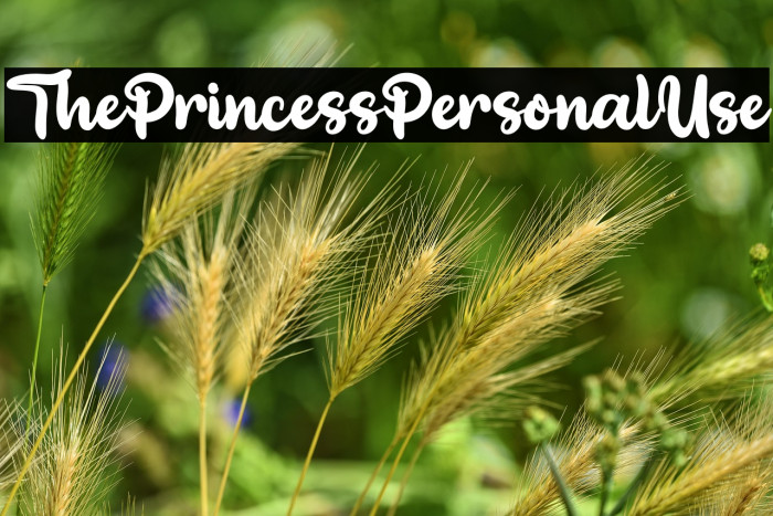 ThePrincessPersonalUse Example 2
