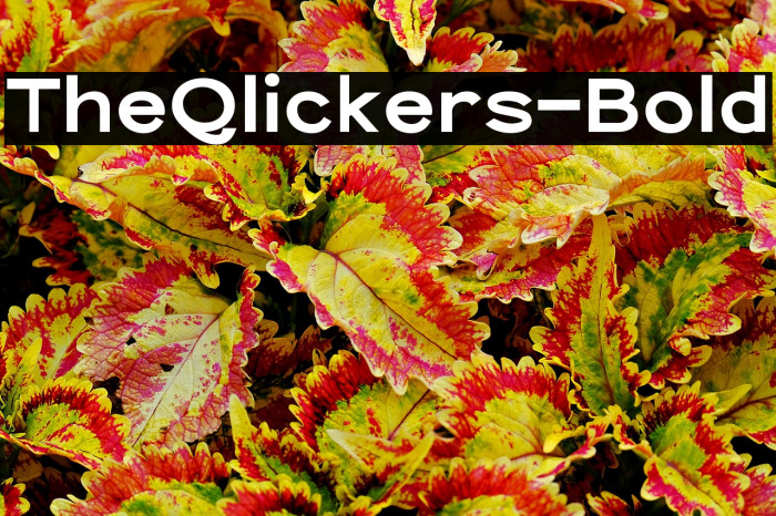 TheQlickers-Bold Example 1