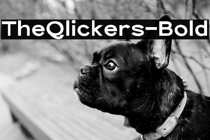 TheQlickers-Bold Example 2