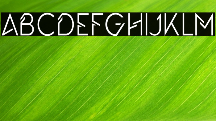 TheQueensGambit-Regular Example 3