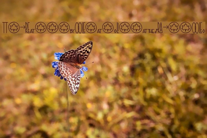 TheRa-SymbolsandLigaturesBold Example 1