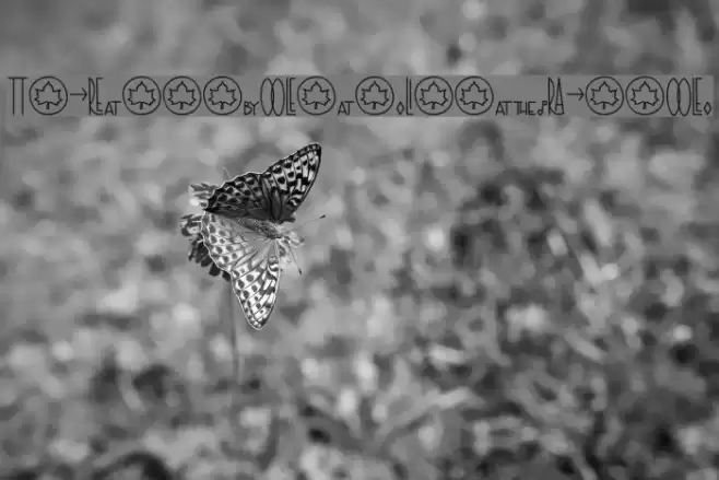 TheRa-SymbolsandLigaturesBold Font examples