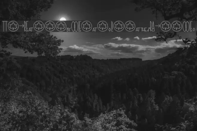 TheRa-SymbolsandLigaturesBold Font examples