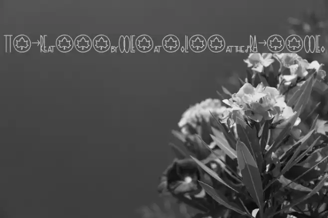 TheRa-SymbolsandLigaturesBold Font examples