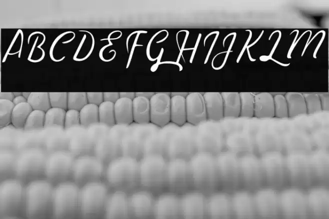 TheRain Font examples