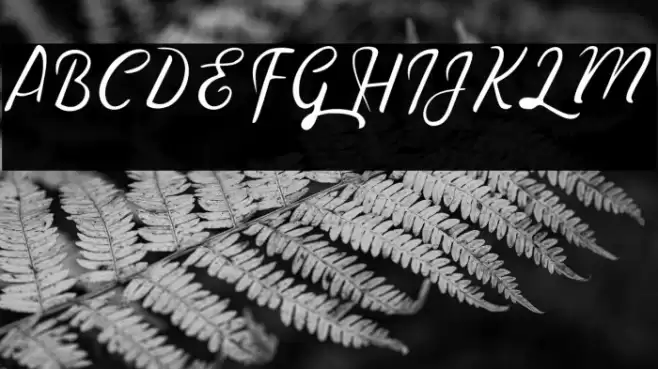 TheRain Font examples