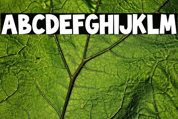 TheRainbow-Regular Example 3