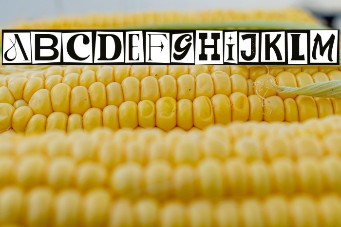 TheRansomNotes-Regular Example 1