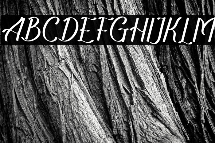 TheRecolistaFREE Example 2