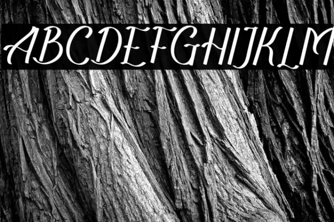 TheRecolistaFREE Font examples