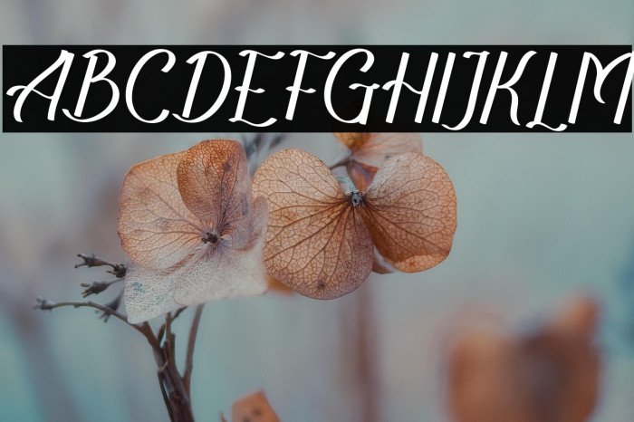 TheRecolistaFREE Example 3