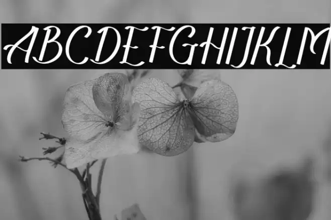 TheRecolistaFREE Font examples