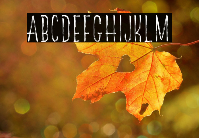 TheRedlightLineFree Example 2