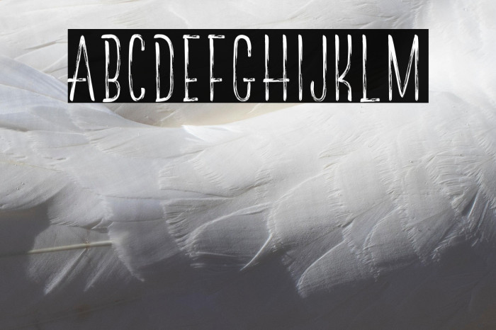 TheRedlightLineFree Example 3