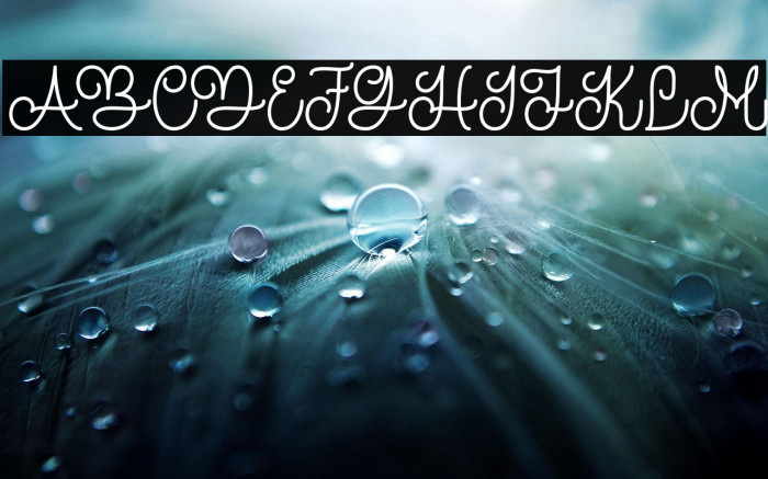 TheRevolution Example 1