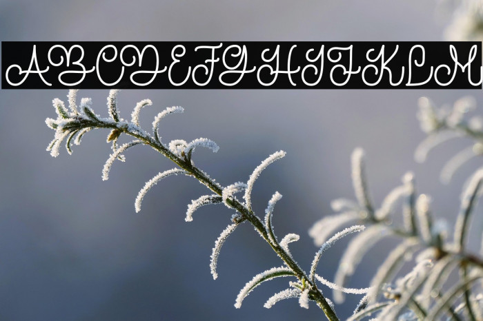 TheRevolution Example 3