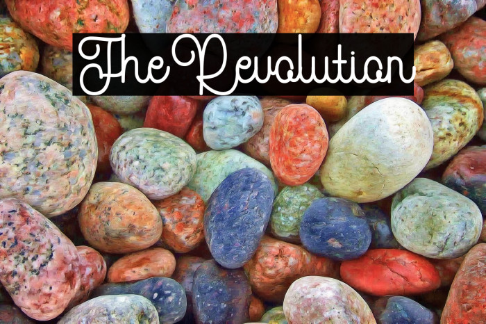 TheRevolution Example 2