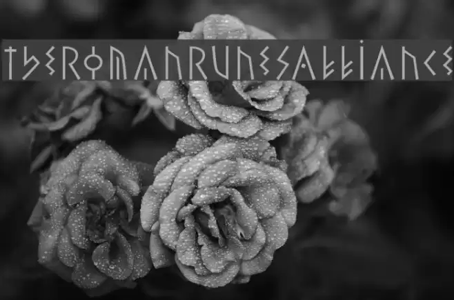 TheRomanRunesAlliance Font examples