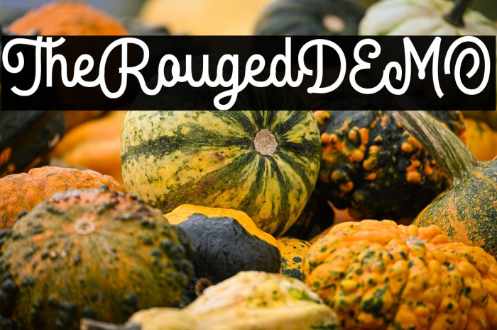 TheRougedDEMO Example 2