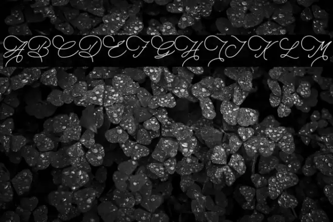 TheSaily Font examples