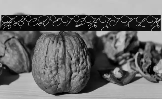 TheSaily Font examples