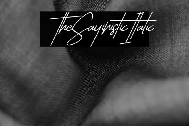 TheSayinistic-Italic Font examples