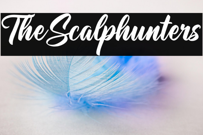 TheScalphunters Example 2