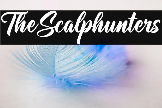TheScalphunters Example 2