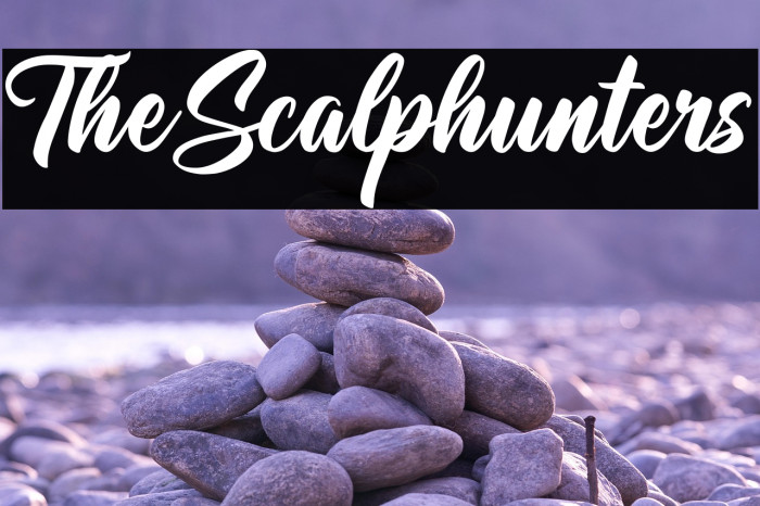 TheScalphunters Example 3