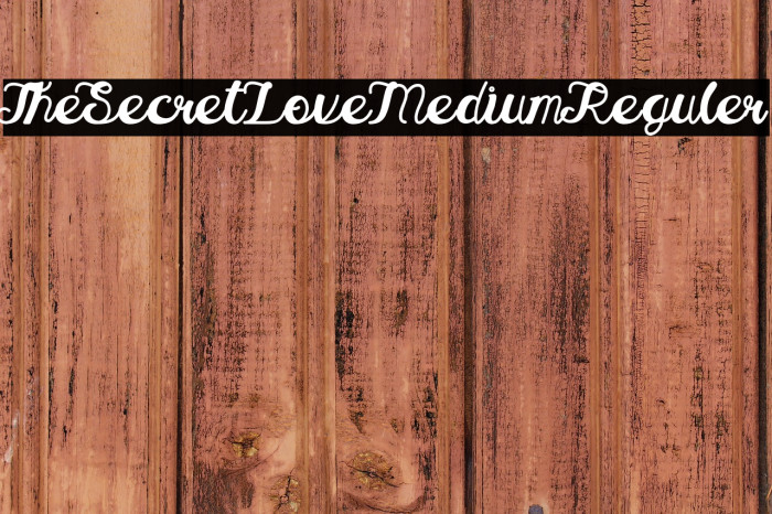 TheSecretLove-MediumReguler Example 3