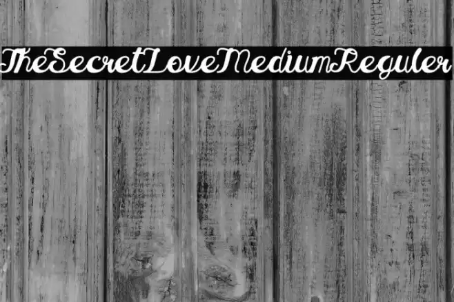 TheSecretLove-MediumReguler Font examples