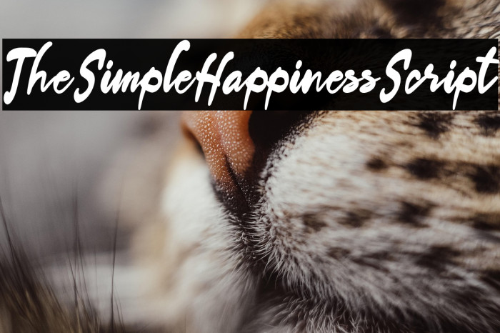TheSimpleHappinessScript Example 1