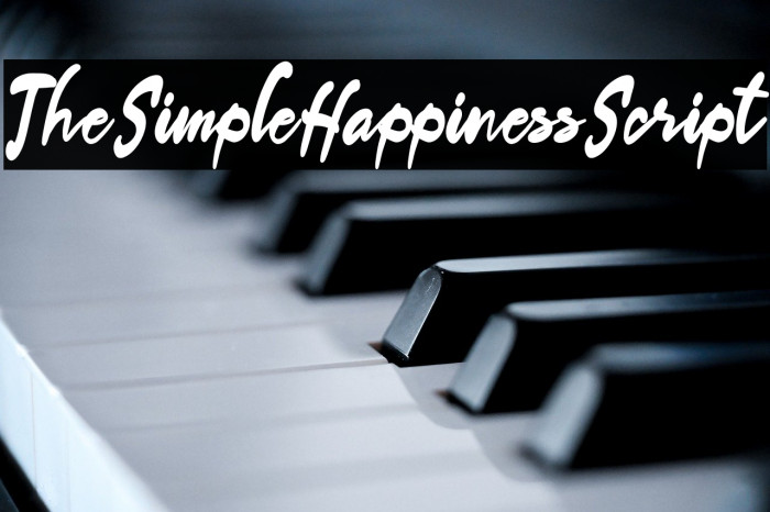 TheSimpleHappinessScript Example 2