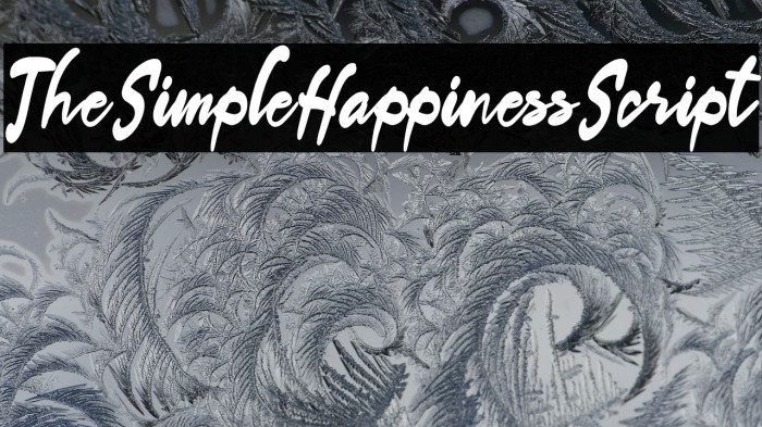 TheSimpleHappinessScript Example 3