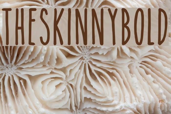 TheSkinnybold Font examples