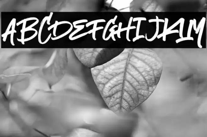 TheStamshonsDemo-regular Font examples