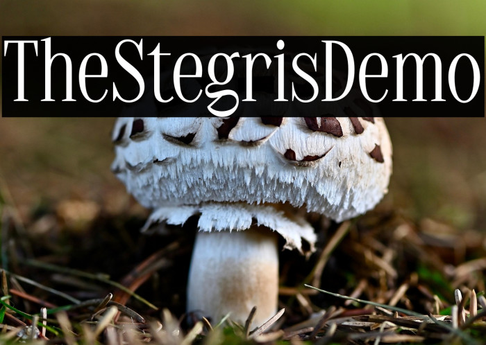 TheStegrisDemo Example 1