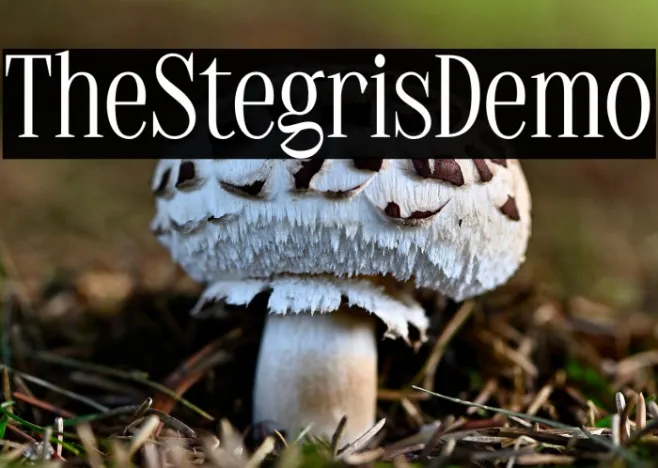 TheStegrisDemo Example 1
