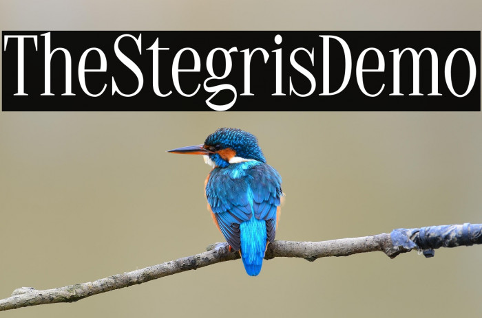 TheStegrisDemo Example 3