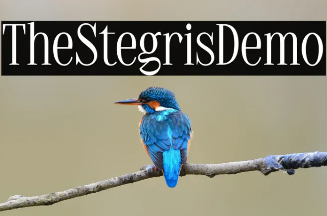 TheStegrisDemo Example 3