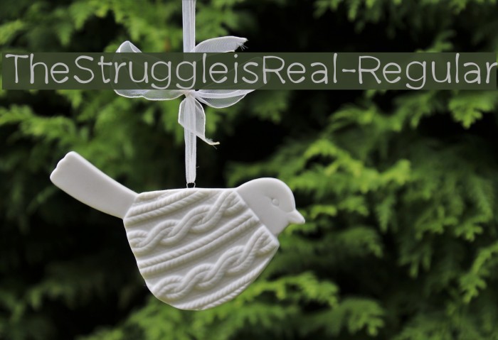 TheStruggleisReal-Regular Example 2
