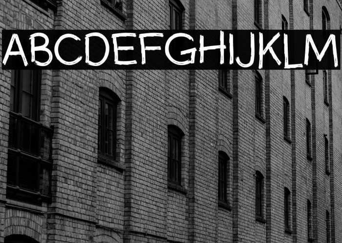 TheSwarm-Regular Example 3