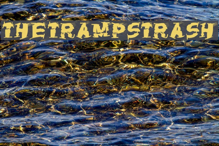 TheTrampsTrash Font examples