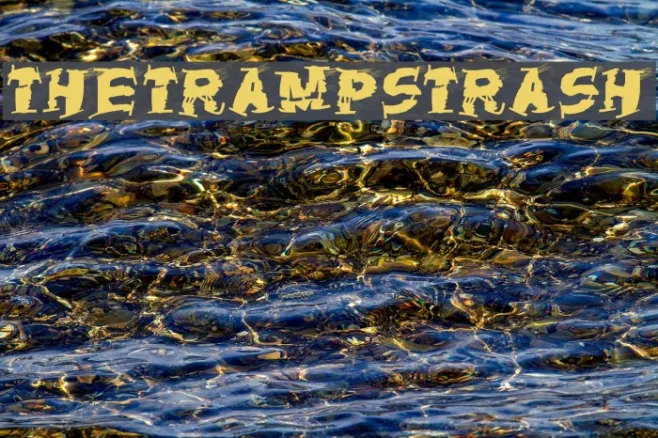 TheTrampsTrash Example 3