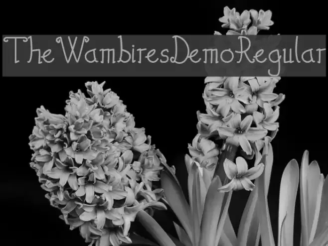 TheWambiresDemoRegular Font examples