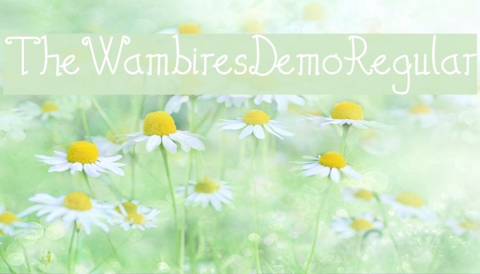 TheWambiresDemoRegular Example 2