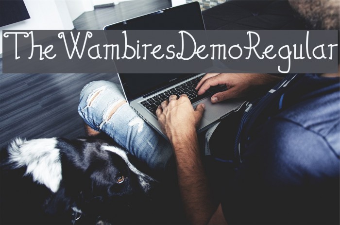 TheWambiresDemoRegular Example 3