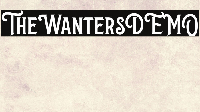 TheWantersDEMO Example 1