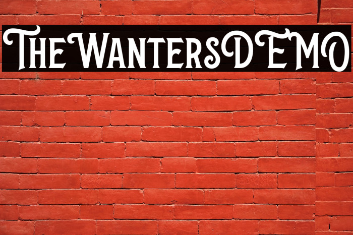 TheWantersDEMO Example 2